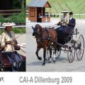 CAI A Dillenburg Dressage EMOTION Picture